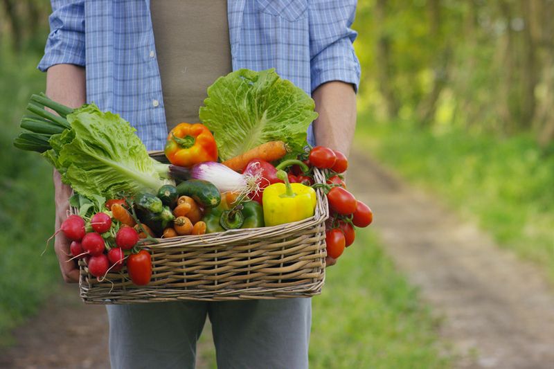 Harvesting Vegetables Too Late