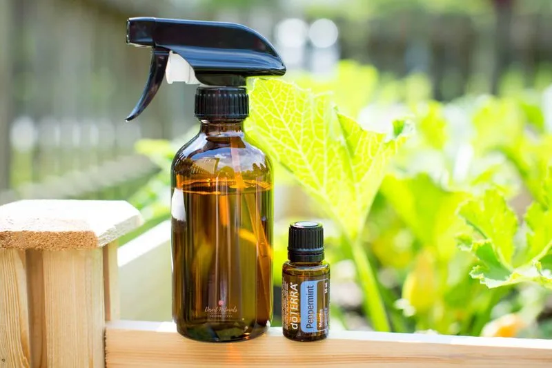 Essential Oils