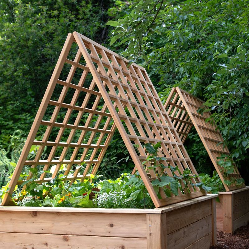 Trellises