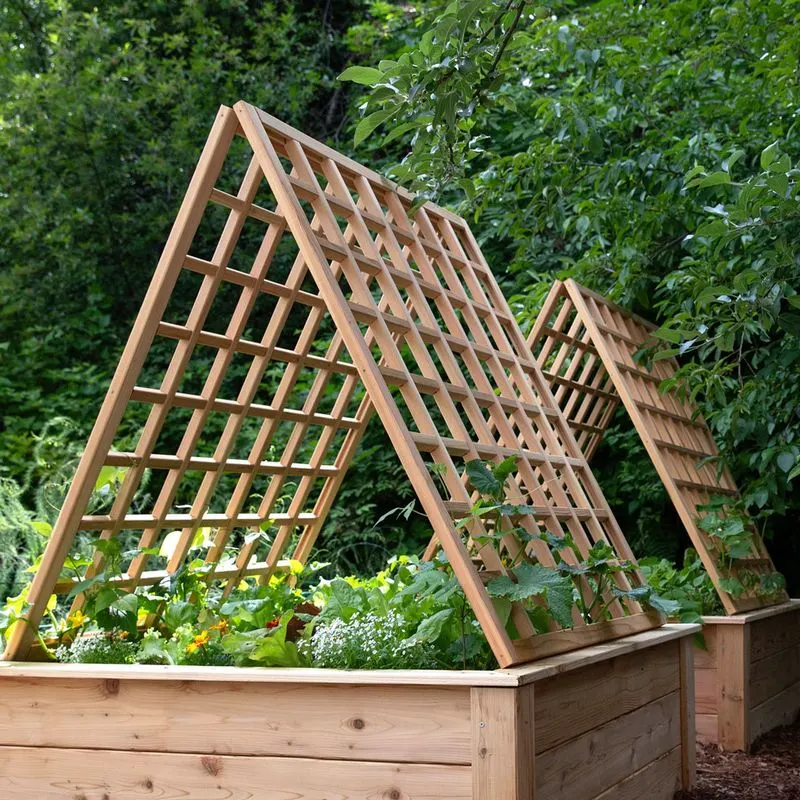 Trellises