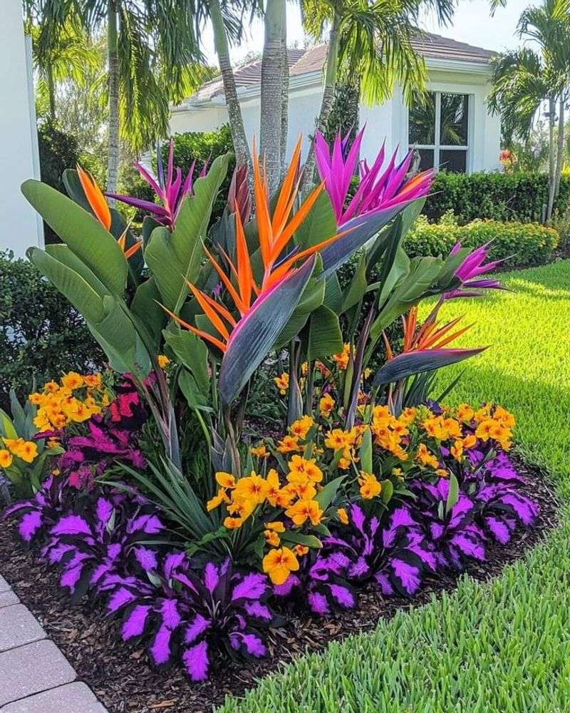 Tropical Circle Paradise