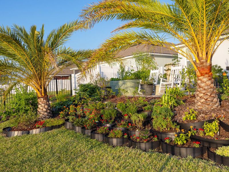 Tropical Palms and Alpine Flowers