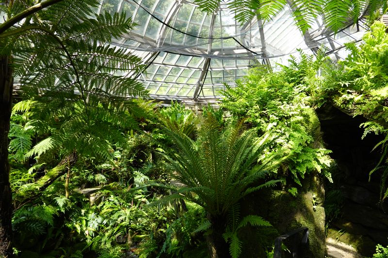 Victorian Fernery