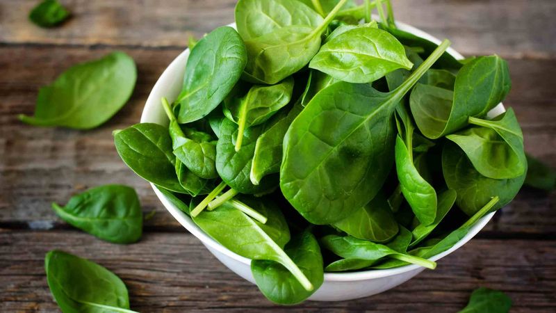 Nutrient-Deficiency Enhanced Polyphenols