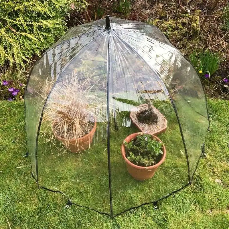 Umbrella Frame Setup