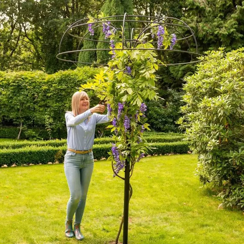 Umbrella Plant Shelter