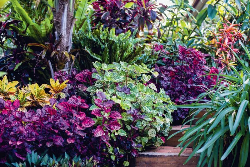 Understanding Local Microclimates