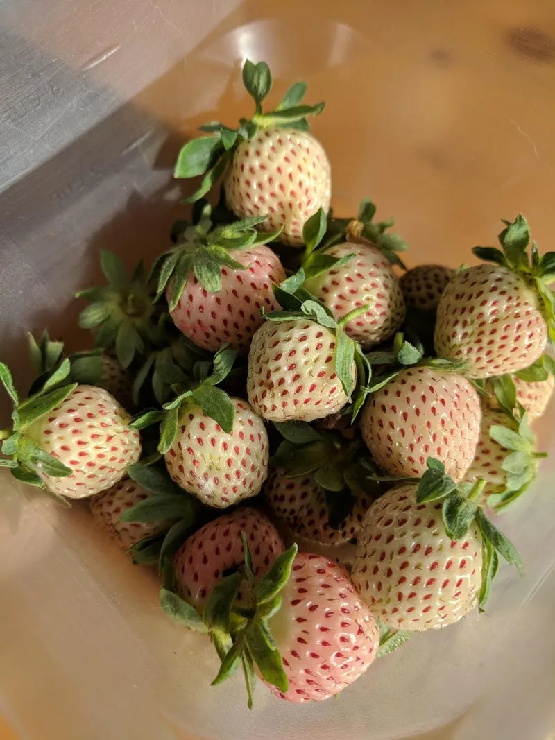 Community and Resource Networking