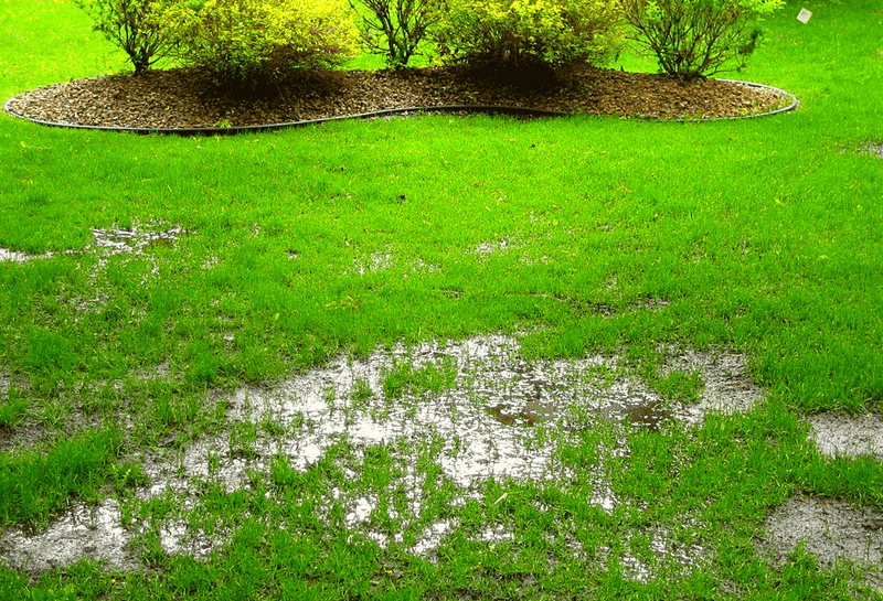 Relying on Rainfall