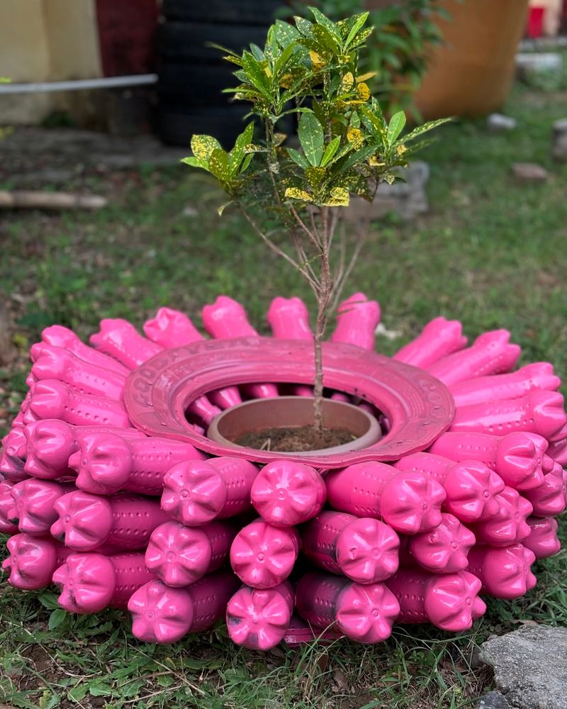 Upcycled Plant Containers