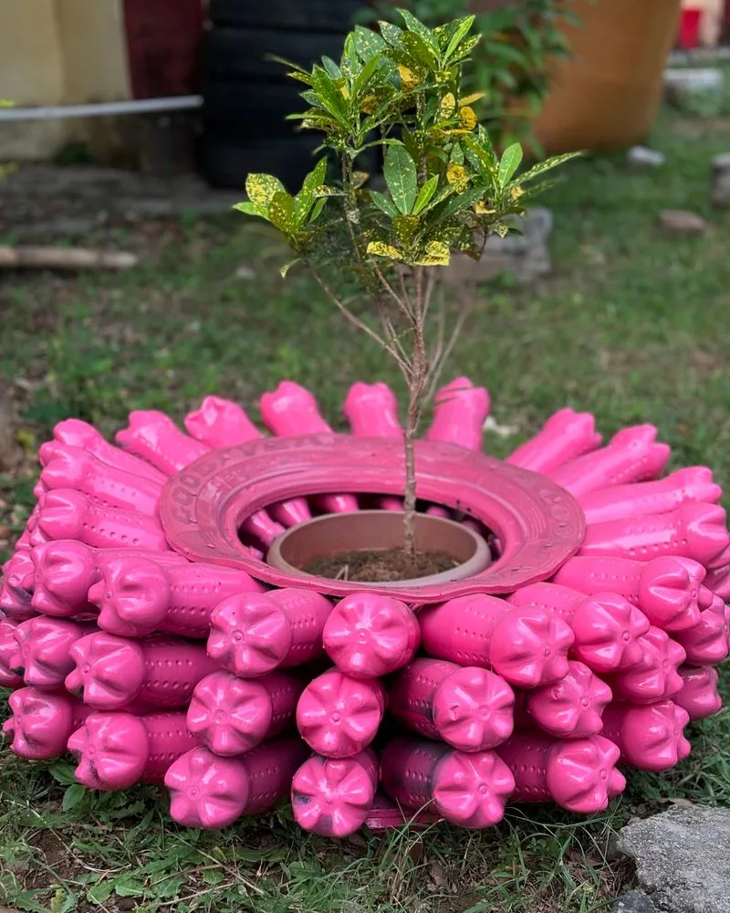 Upcycled Plant Containers