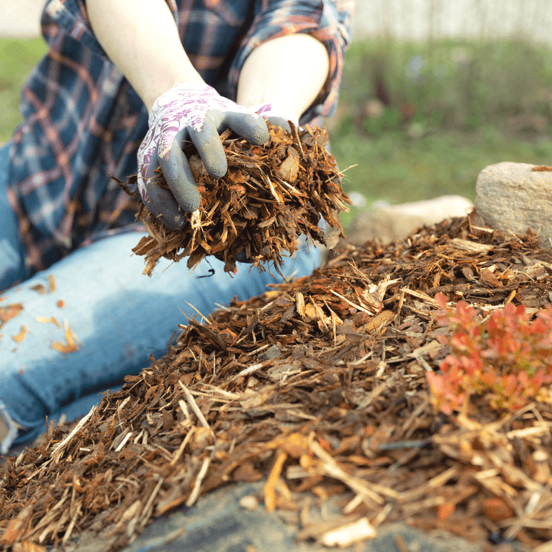 Use Organic Mulches