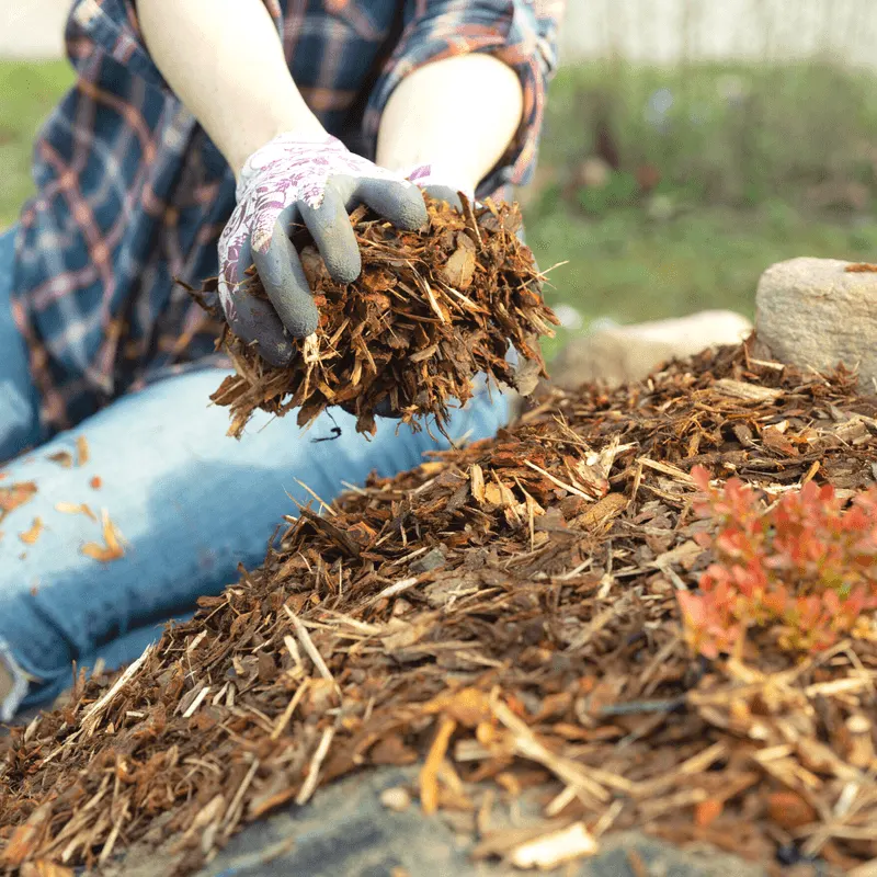 Use Organic Mulches