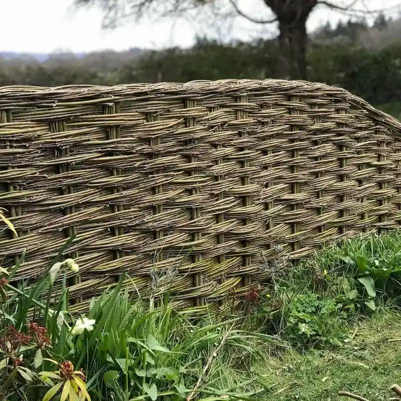 Set Up Windbreaks