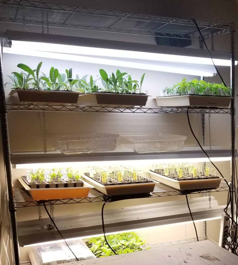 Start Indoors Early