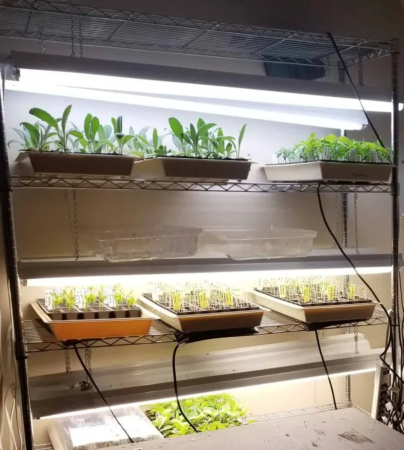 Start Indoors Early