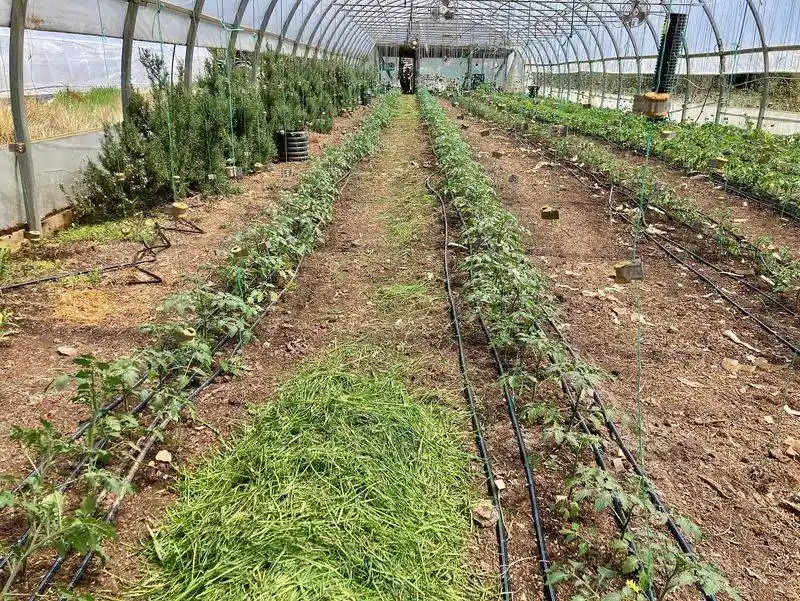 Use of Mulch