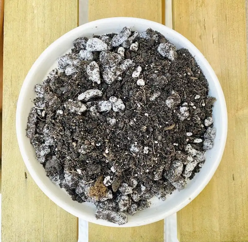 Incorrect Soil Mix