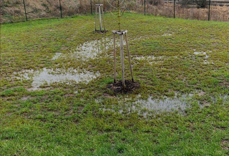 Ignoring Soil Drainage