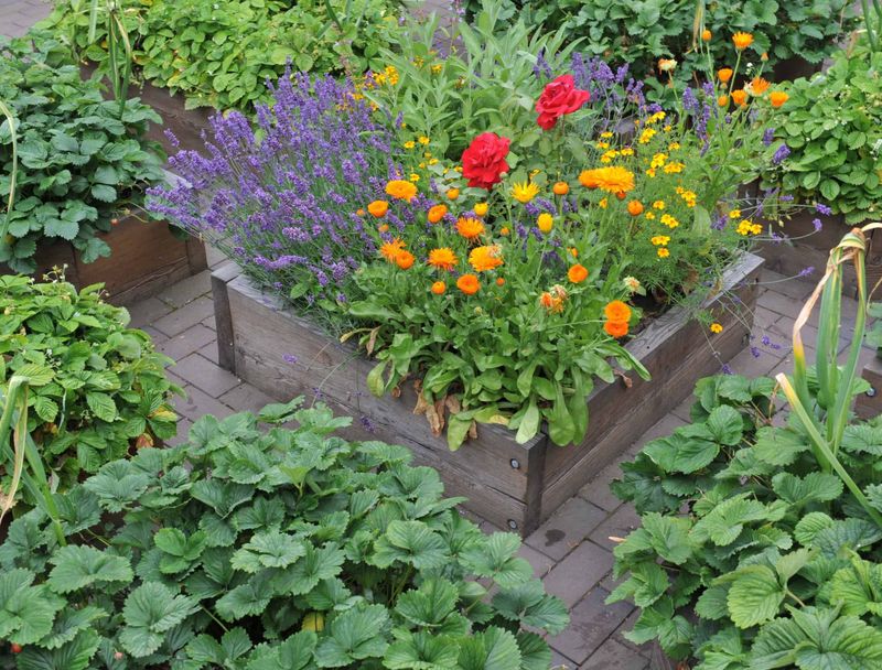 Using Pest-Resistant Plants