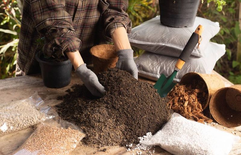 Wrong Potting Mix