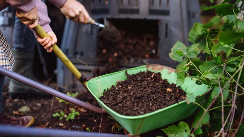 Using Uncomposted Materials