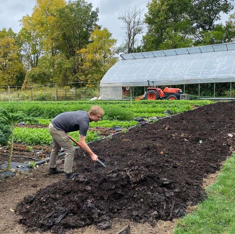 Using Untreated Compost