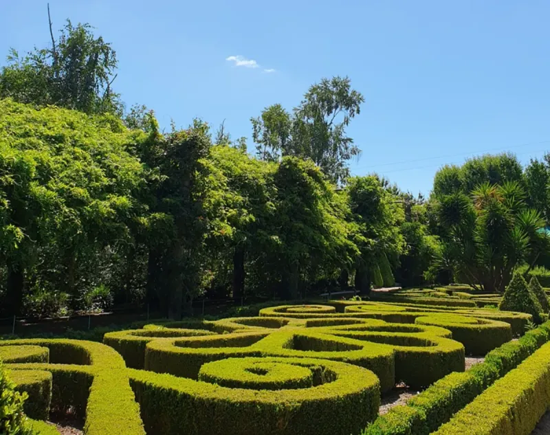 Herb Maze Adventure