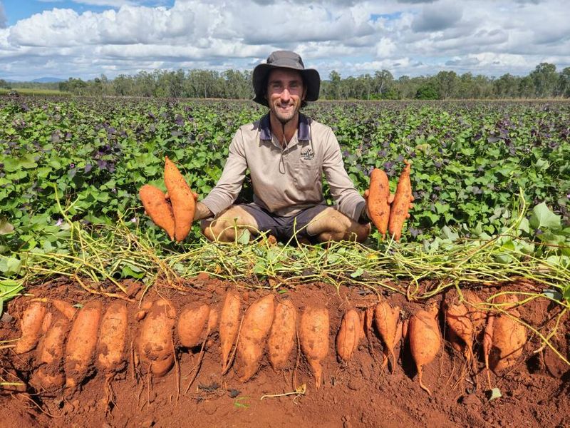 Supports Sustainable Farming