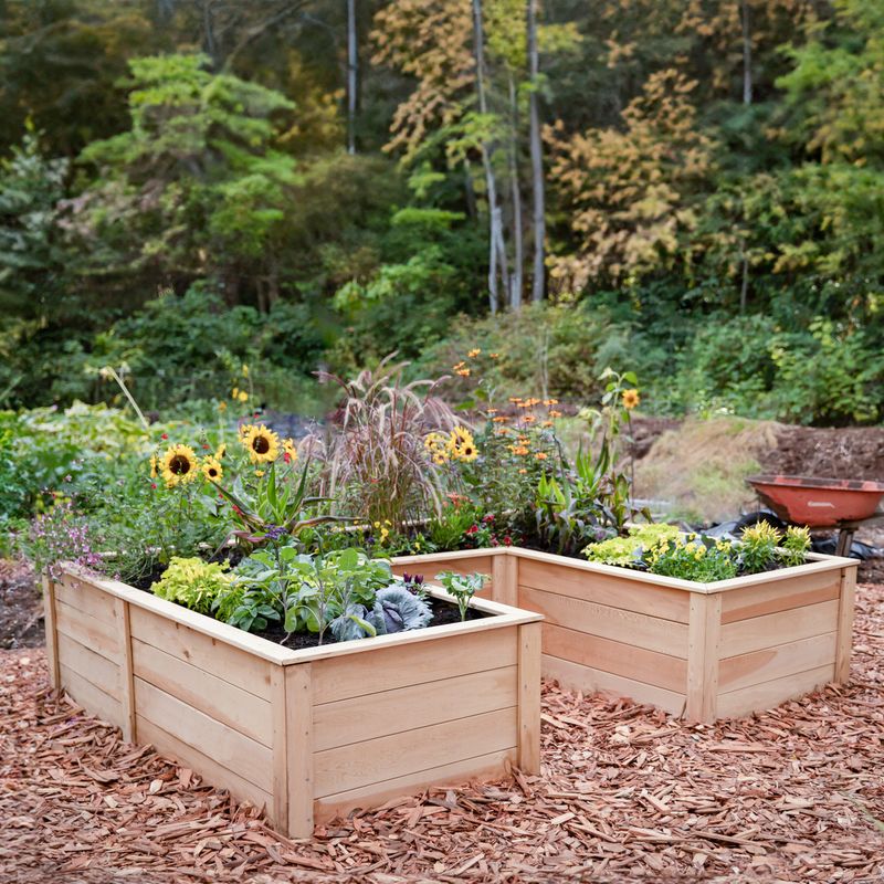 U-Shaped Raised Bed
