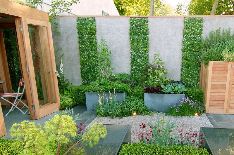 Vertical Gardening: Reach New Heights
