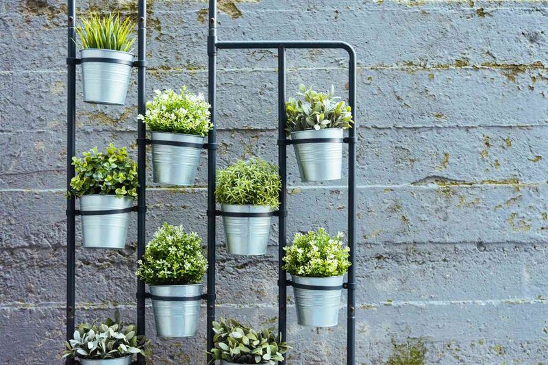 Vertical Gardening Techniques