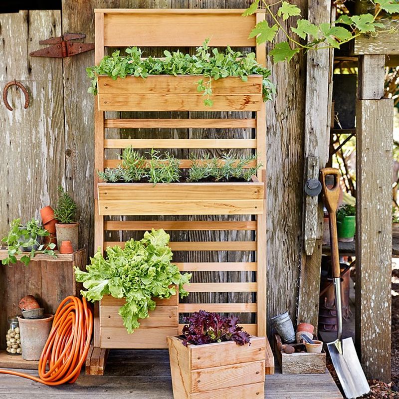 Vertical Gardening