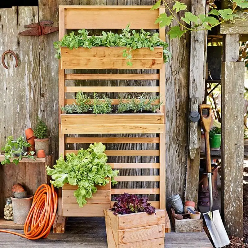 Vertical Gardening