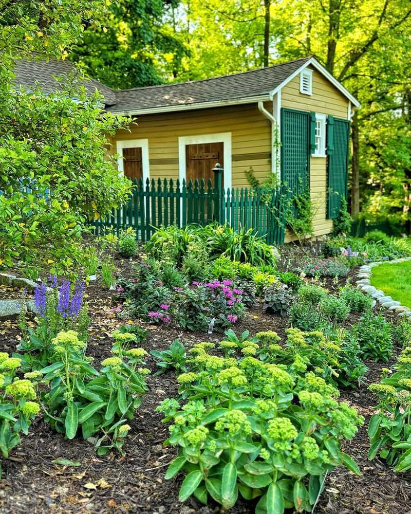 Cottage Herb Garden