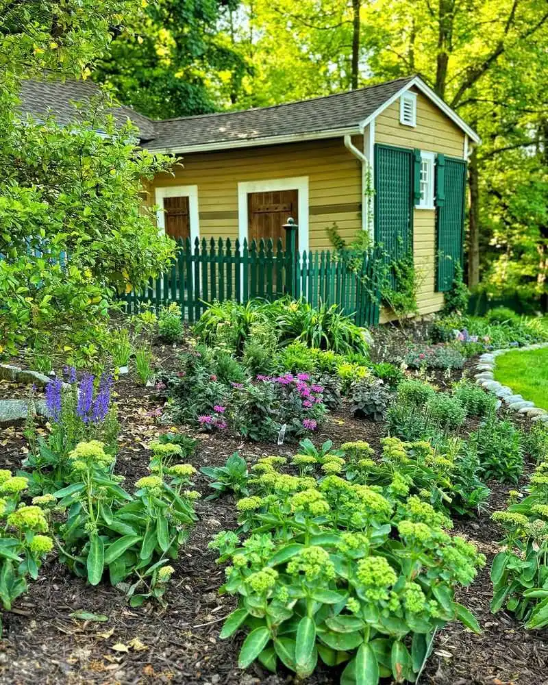 Cottage Herb Garden