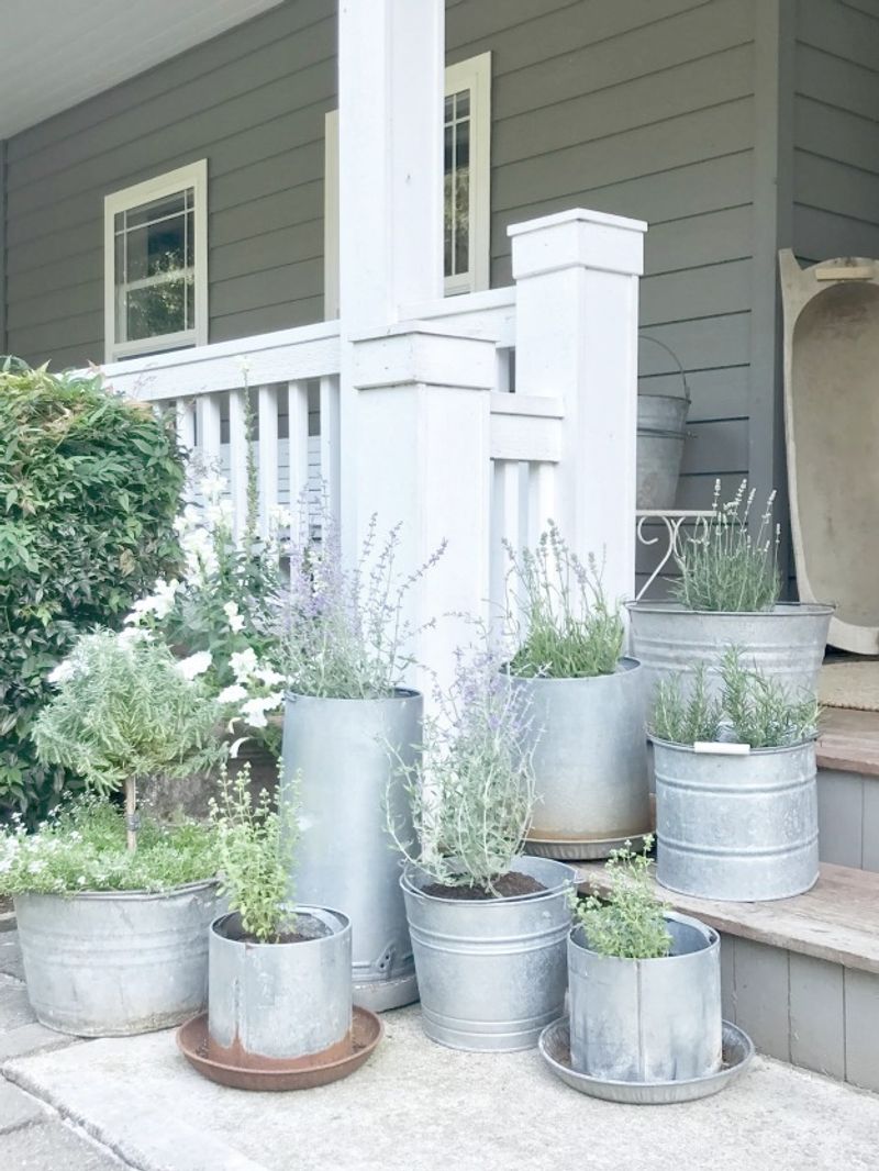 Galvanized Steel Planters