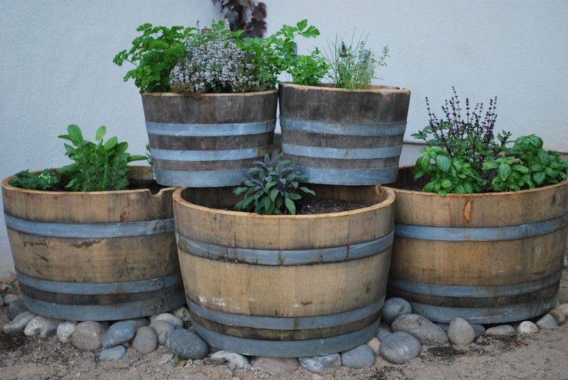 Antique Barrel Planters