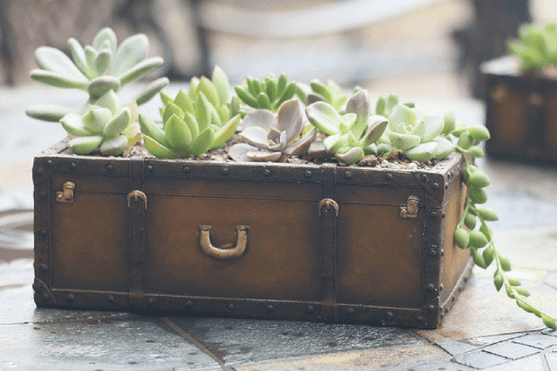 Vintage Suitcase Gardens