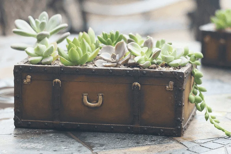 Vintage Suitcase Gardens