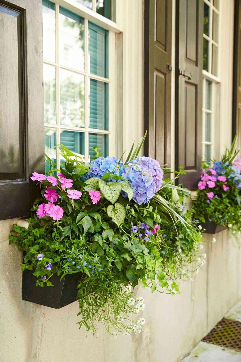 Window Box Planters