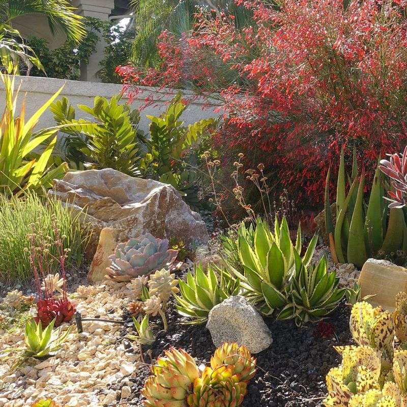 Water Conservation Techniques