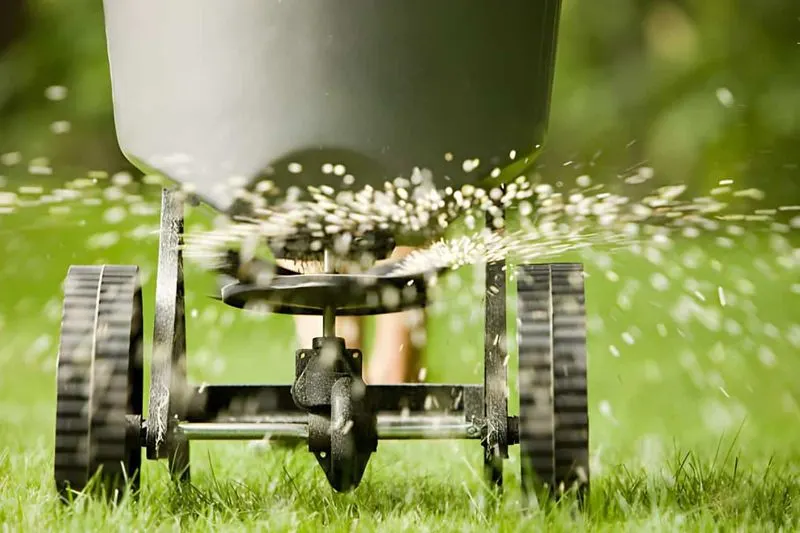 Feed Your Lawn Properly