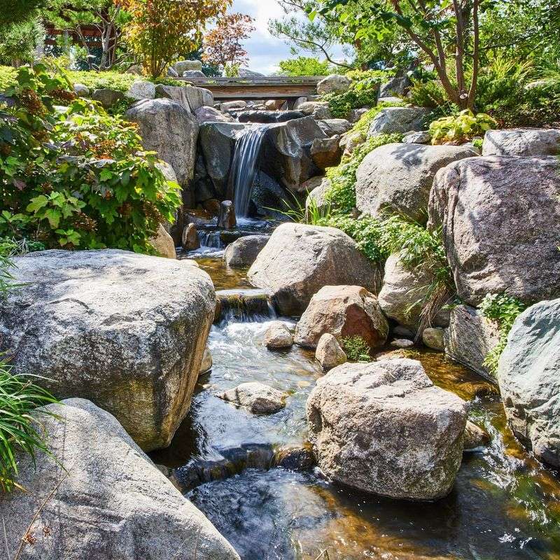 Water Elements