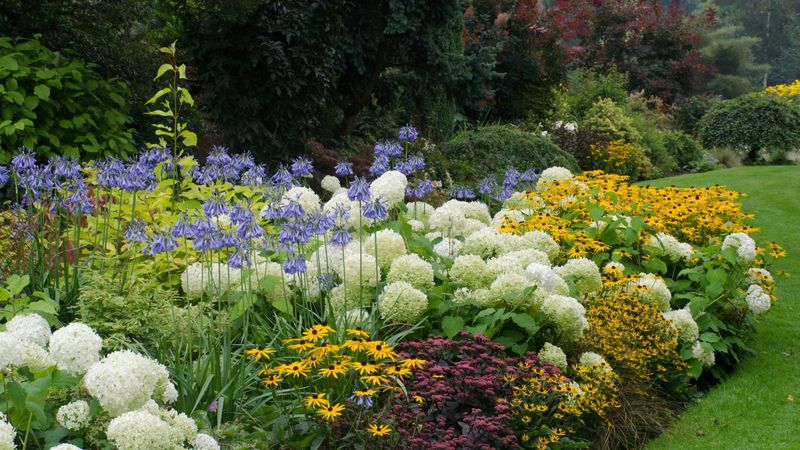 Perennial Borders