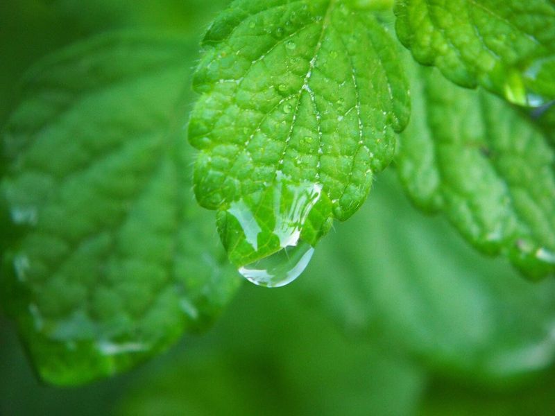 Water Sensitivity