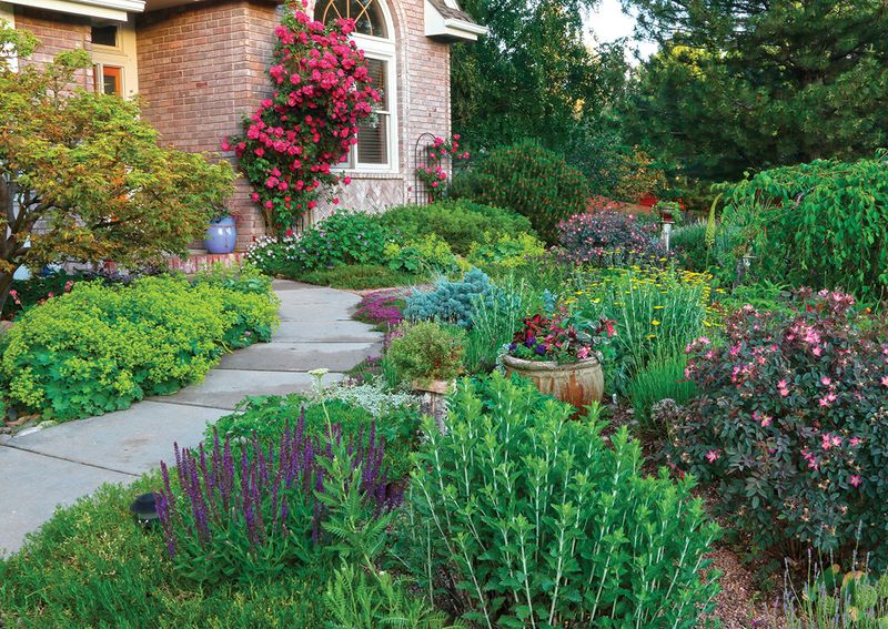 Water-Wise Container Gardens