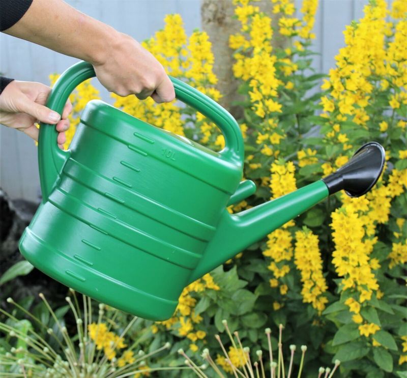 Watering Can
