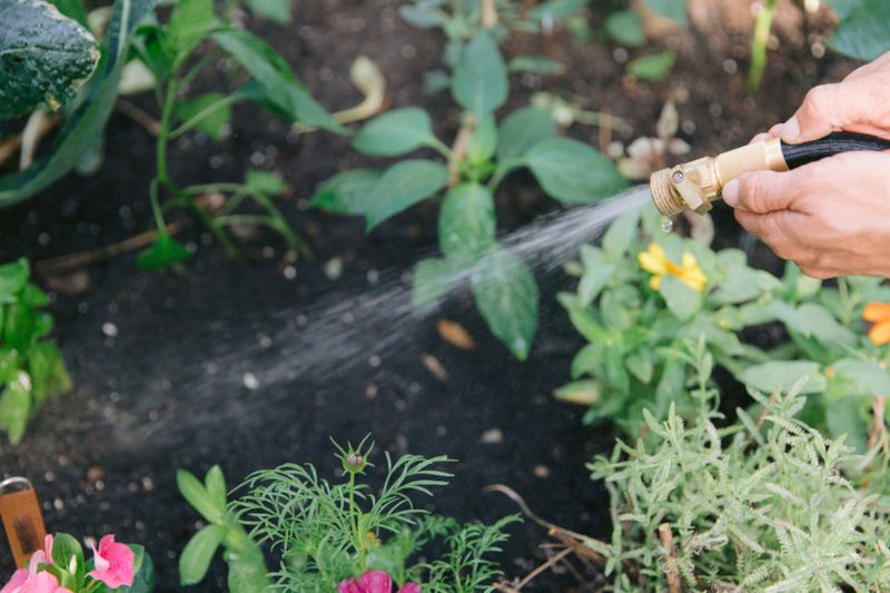 Watering Inconsistently
