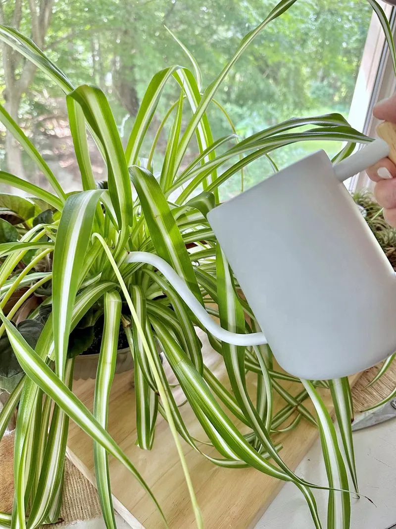 Uniform Watering Schedule